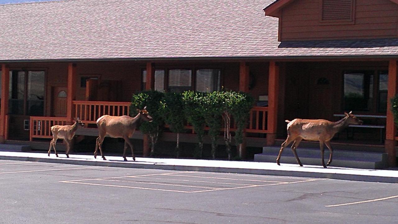 Yellowstone Village Inn And Suites Gardiner Eksteriør billede